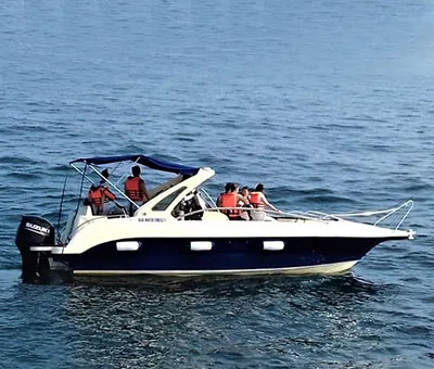 Private speed boat whale watching tour in Mirissa Sri Lanka